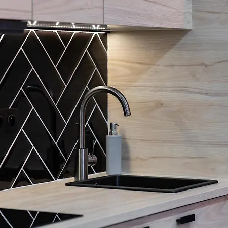 Apartment Loft Style Opienskiego With Parking By Renters